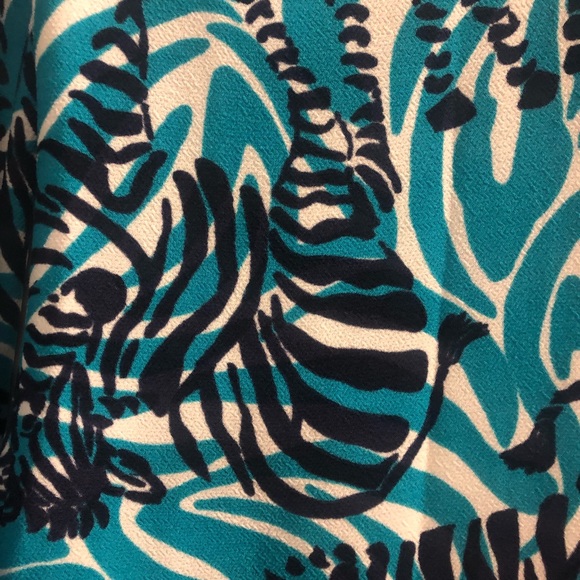 Lilly Pulitzer Dress - Picture 3 of 5